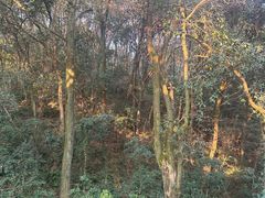 -西湖风景区十里琅珰-五云山