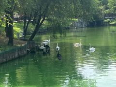 -沈阳森林动物园