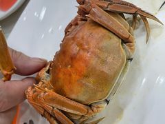 -金瑞轩大酒楼·顺德鱼生·粤菜海鲜(东江国际店)