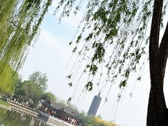 -西海子公园