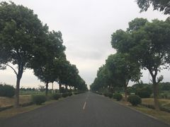 -乡乐园蟹庄·阳澄湖农家乐