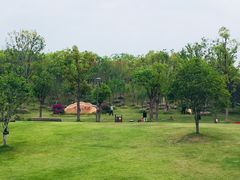 -牛岗山公园