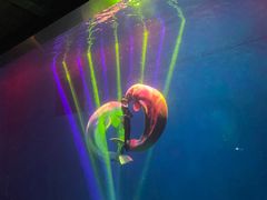 -芜湖新华联大白鲸海洋公园