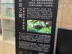 -燕莎友谊商城(亮马桥店)