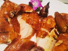 东海脆皮鸡-東海海鲜酒家(中信广场店)