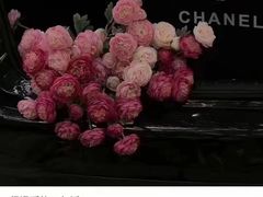 -芙蓉堂(武汉天地店)