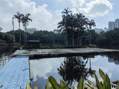 -荔湾湖公园