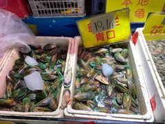 -珠光市场(文德南路)