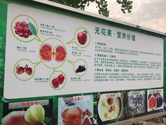 -武汉世外桃源农庄