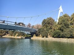-比斯特上海购物村精品奥特莱斯