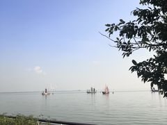 -贡湖湾湿地公园