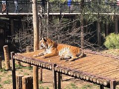 -云南野生动物园