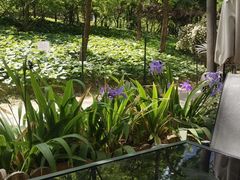 -JamaicaBlue(新城国际店)