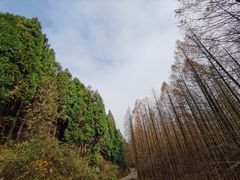 -山王坪喀斯特国家生态公园