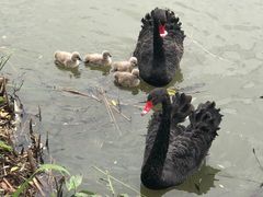 -长兴太湖图影湿地文化园
