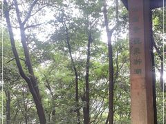 -西湖风景区十里琅珰-五云山