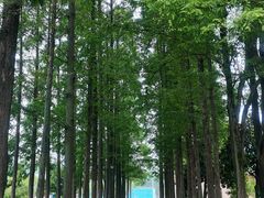 -五七小李子油焖大虾(总店)