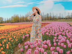 -杭州湾海上花田景区