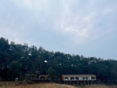 -仙岛湖旅游风景区