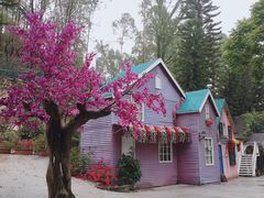 -松山湖南湖湾露营营地