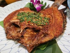 -紫滇源云南生态菜(丹凤街店)