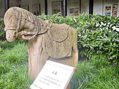 -萧山体育中心