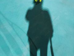 -快网网球俱乐部(长宁区金桥花园球场)