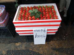 -红星农博物流中心