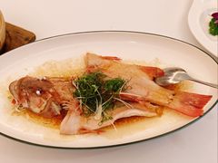 清蒸东星斑-山泉公馆酒家(珠江新城店)
