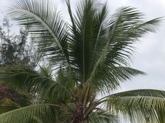 -白沙门生态公园
