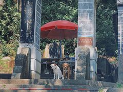 -寂照庵