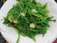 -泸沽肴(泸沽湖大洛水村农村信用社旁店)