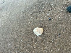 -兴城海滨风景区