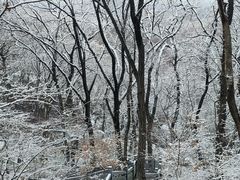 -句容茅山景区