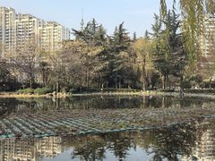 -木塔寺遗址生态公园