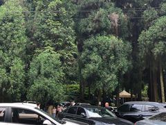 -西岭雪山大飞水景区