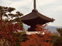 -常寂光寺