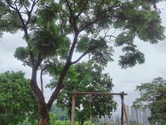 -趣多多宠物公园·宠物训犬学校·宠物寄养