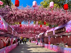 -南汇桃花村