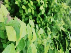 -南通洲际绿博园