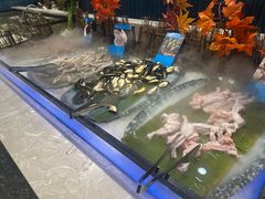 -伍棵煋炭烤自助料理·烤鳗鱼(浦东食品城店)