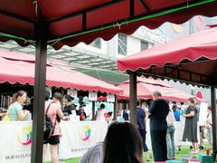 -陕西省小天鹅艺术团