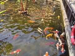 -鹅公村·国家非遗传承(荔湾店)