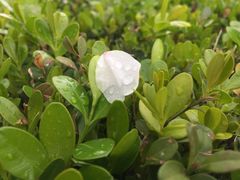-湖北中医药大学(昙华林校区)