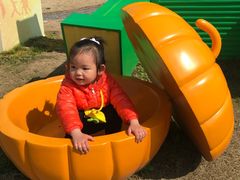 -上海都市菜园