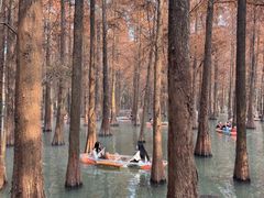 -星湖旅游景区七星岩