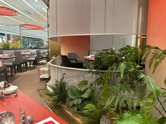 -红雀围·海鲜火锅(陆家嘴中心店)