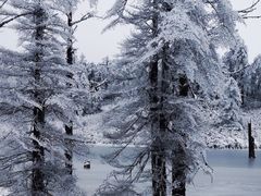 -瓦屋山景区