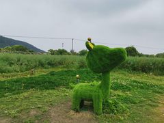 -苏州太湖西山岛开心农场
