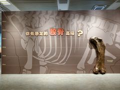 -桂林博物馆